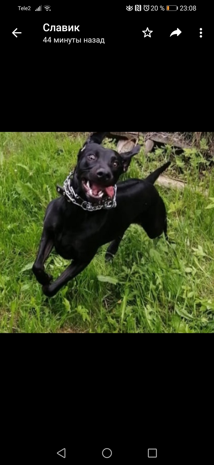 ������...