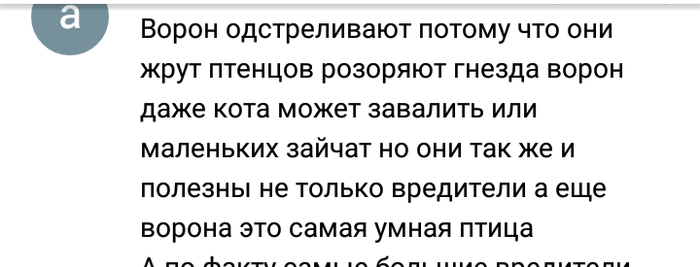 Будем считать что это гнездо и не будем придираться к деталям. Смотреть фото Будем считать что это гнездо и не будем придираться к деталям. Смотреть картинку Будем считать что это гнездо и не будем придираться к деталям. Картинка про Будем считать что это гнездо и не будем придираться к деталям. Фото Будем считать что это гнездо и не будем придираться к деталям