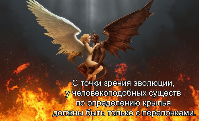 Крылья у человекоподобных, эволюция она такая