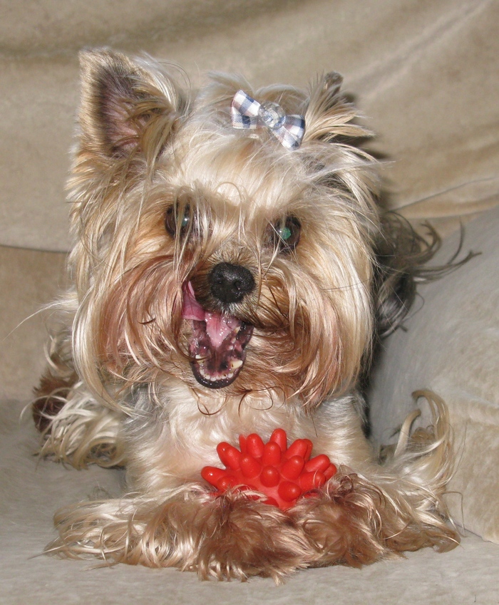 Наглядно о влиянии вакцин на возбудителей инфекции