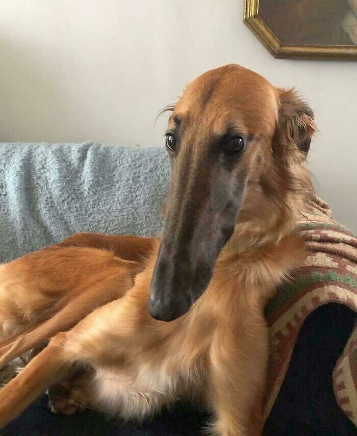   , , 
