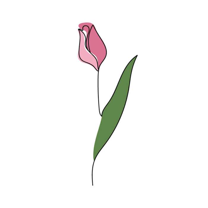 • face+tulip in one line style by adobe illustrator•лицо+тюльпан в стиле одной линии с помощью адоб иллюстратор Иллюстратор, Иллюстрации, Дизайн, Графический дизайн