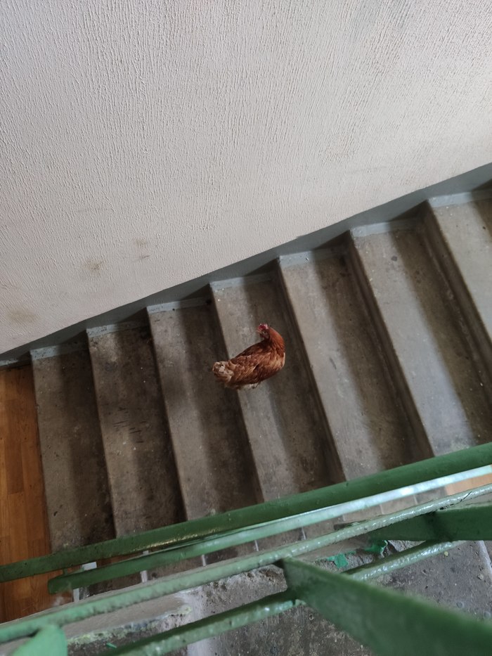    , , , 