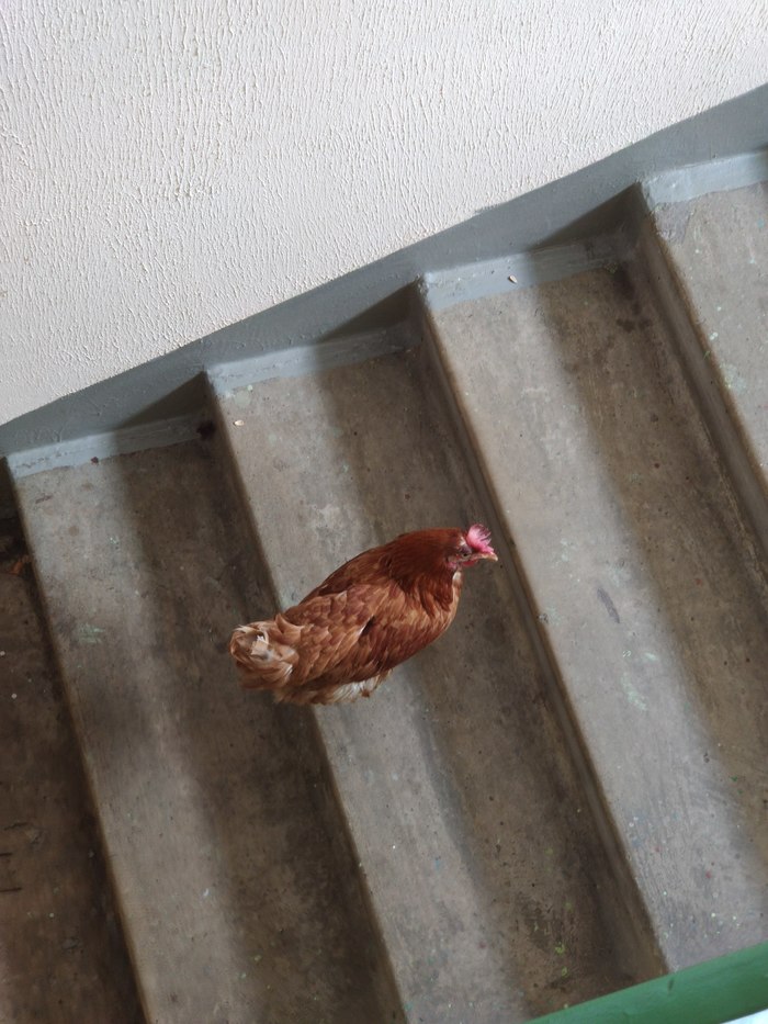    , , , 