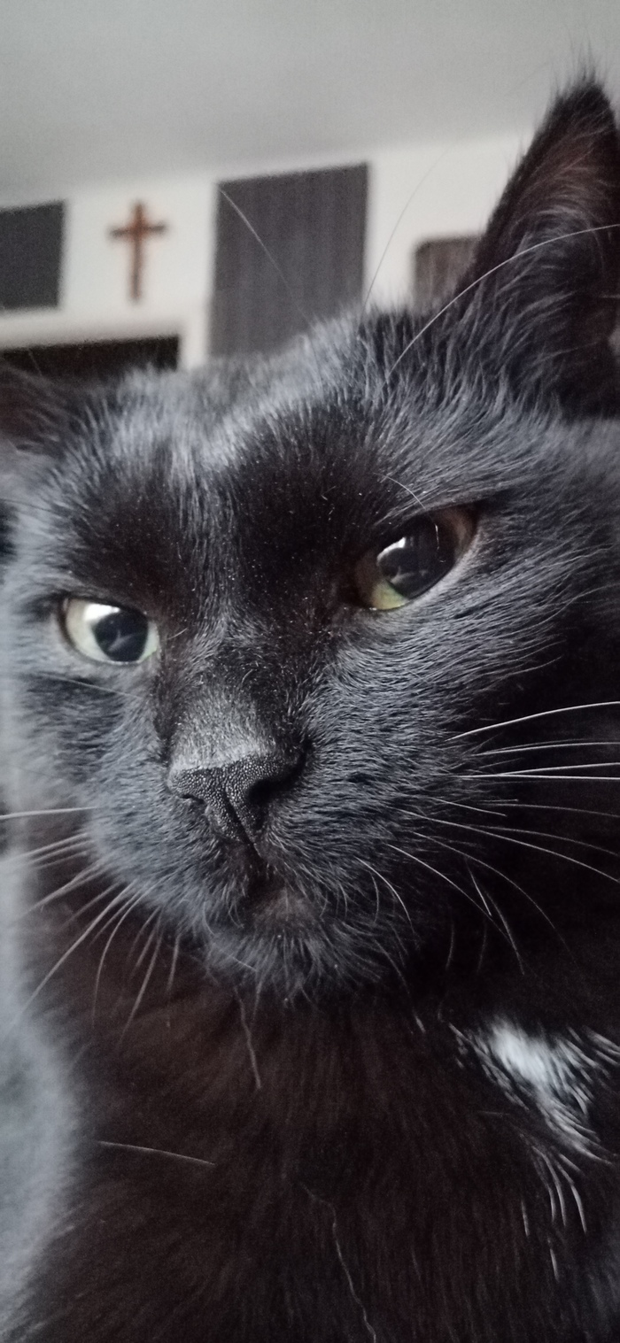 � �������