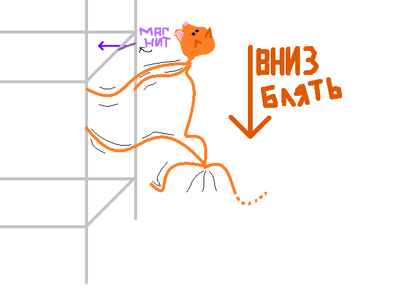 ��� �������