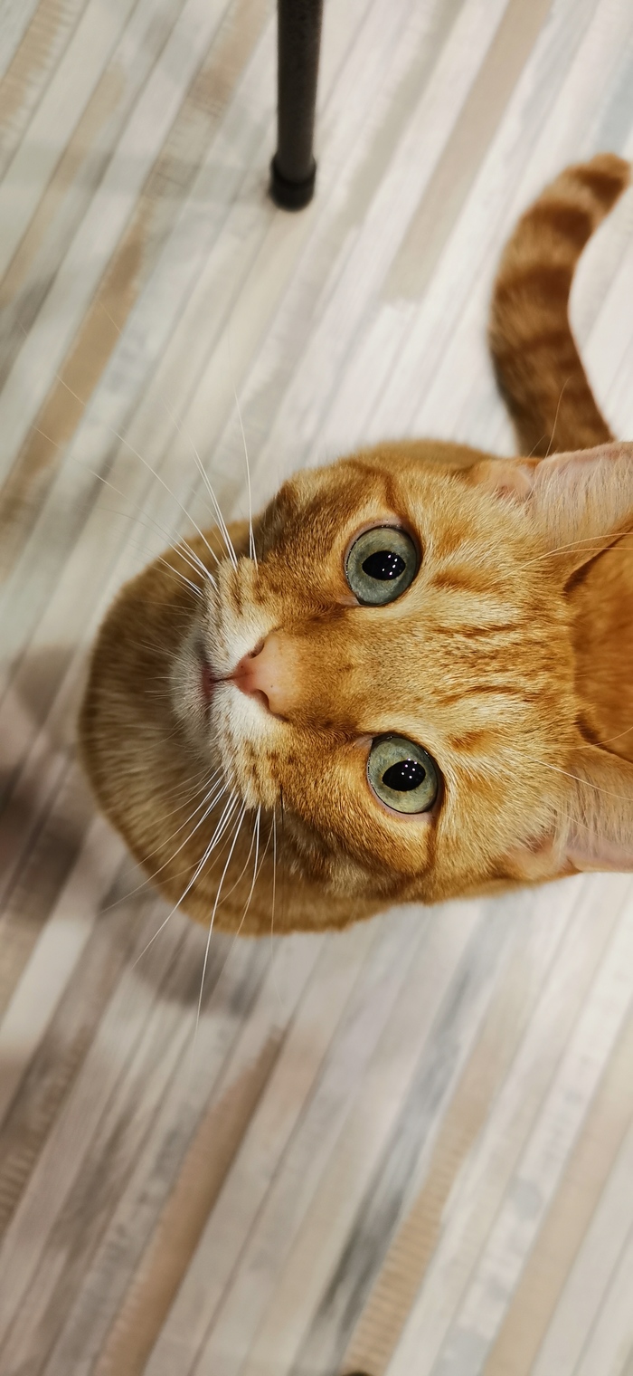 ����� �����