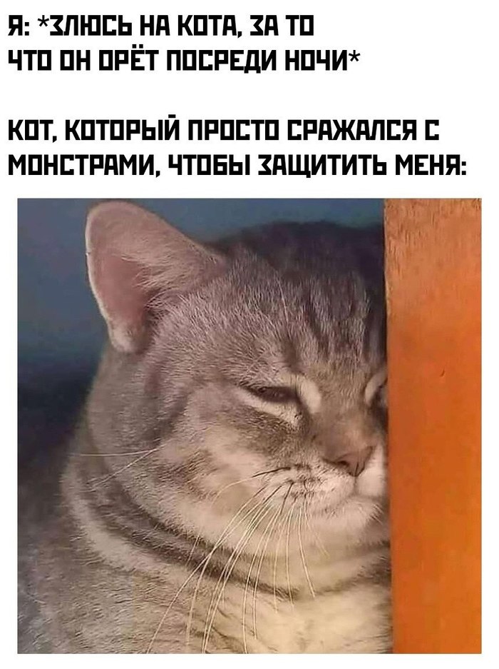 ������ �����