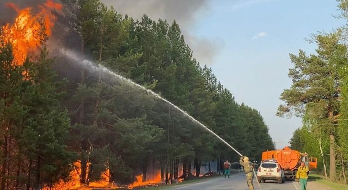 почему в лесу нельзя разбивать стеклянные бутылки. Смотреть фото почему в лесу нельзя разбивать стеклянные бутылки. Смотреть картинку почему в лесу нельзя разбивать стеклянные бутылки. Картинка про почему в лесу нельзя разбивать стеклянные бутылки. Фото почему в лесу нельзя разбивать стеклянные бутылки