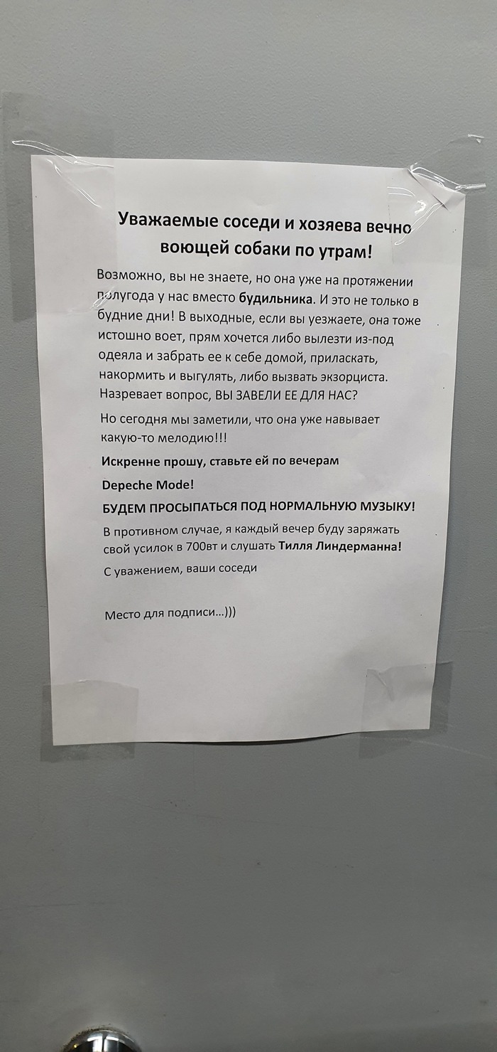 Собака: истории из жизни, советы, новости, юмор и картинки — Горячее,  страница 31 | Пикабу