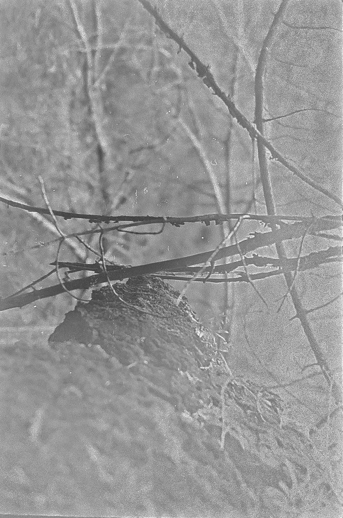 Фотография на плёнку новичка Фотопленка, Начинающий фотограф, Длиннопост