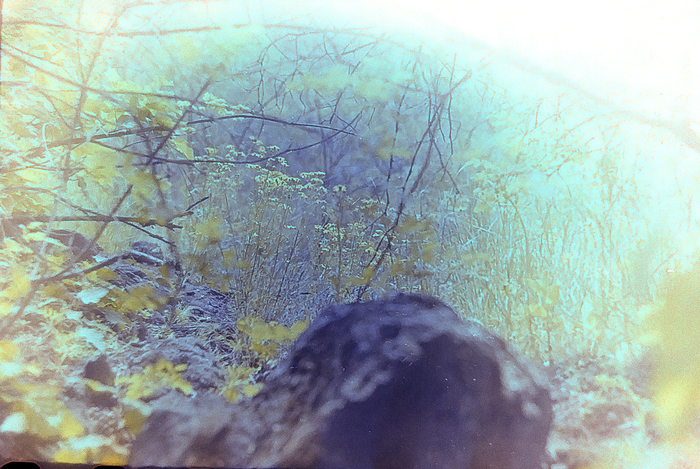 Фотография на плёнку новичка Фотопленка, Начинающий фотограф, Длиннопост