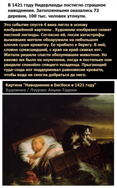 Котики надоели, — говорили они...