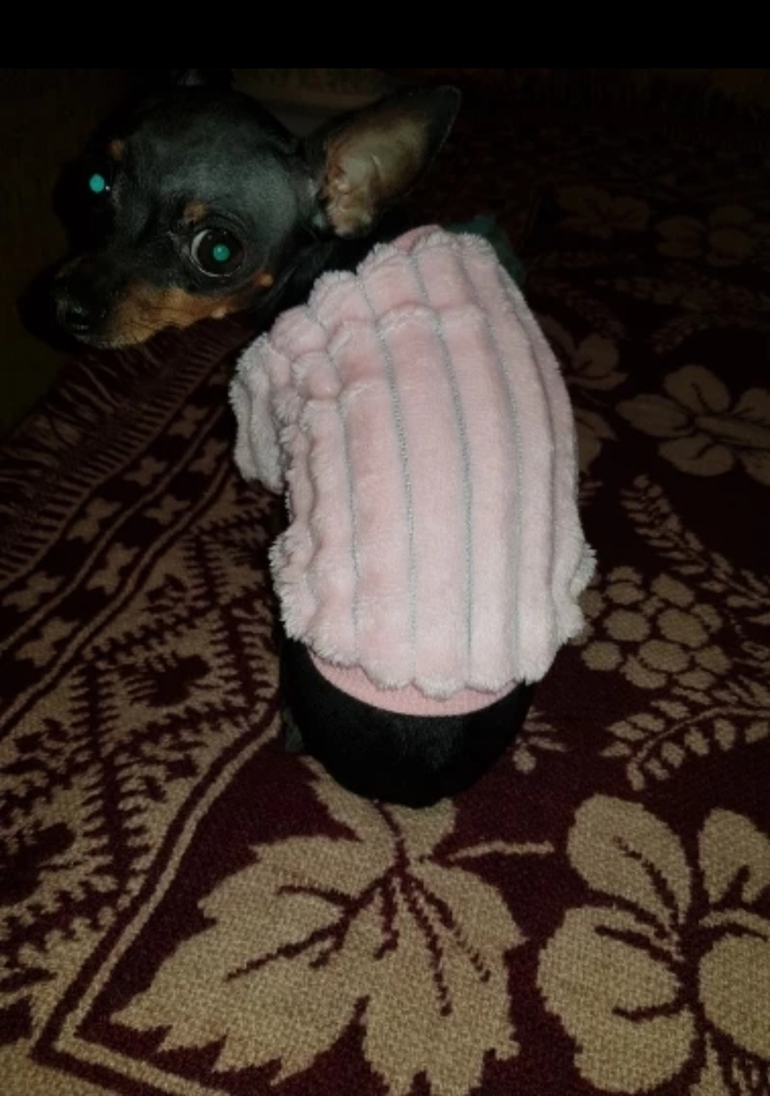   AliExpress ,   , , , 