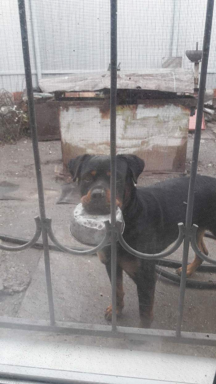 ������, ���� ������� �����?