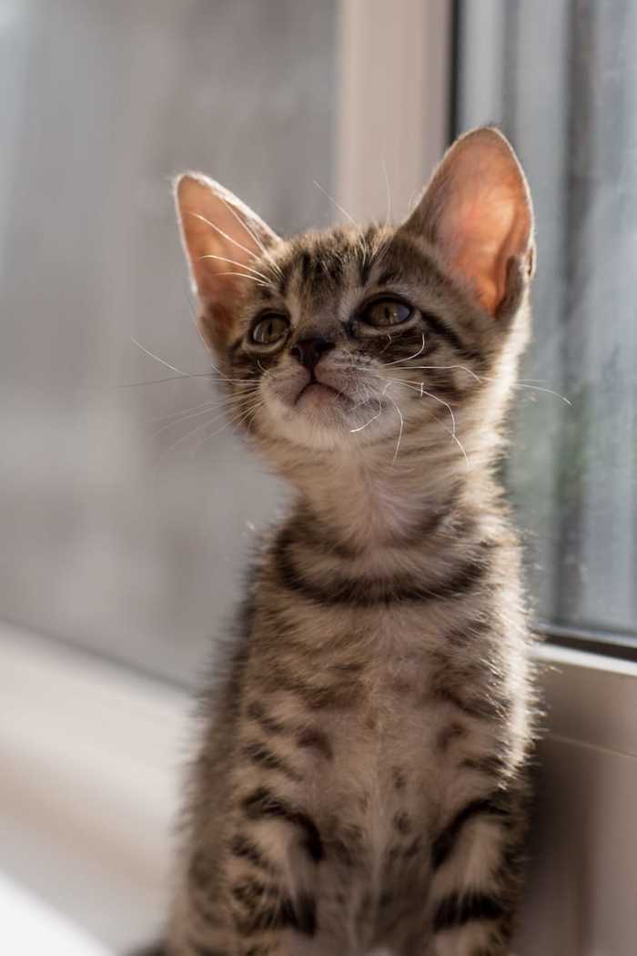 ����� ���� ��� � ������ ����, ������, ��� ��������, ����������, ���, ������, ���������� ����, �����������