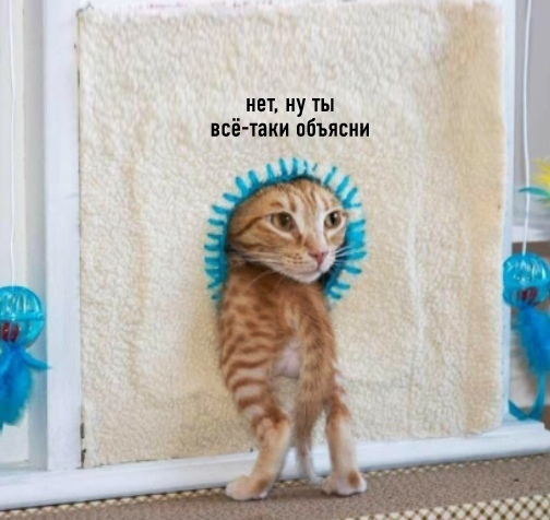 Когда предпринял последнюю попытку понять суть