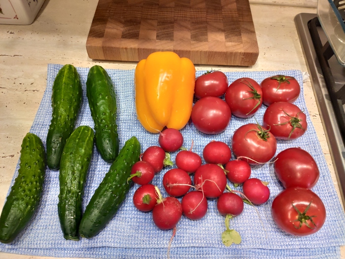 что приготовить в тандыре рецепты с фото простые и вкусные