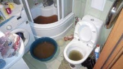 Картина маслом!