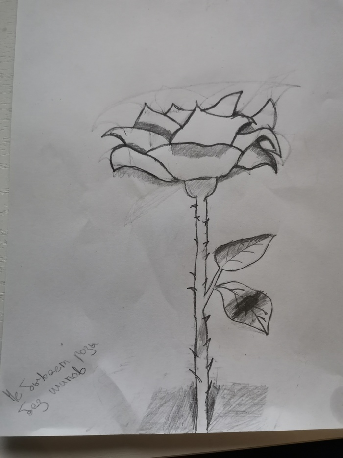 ���� ������ ������������ ���������