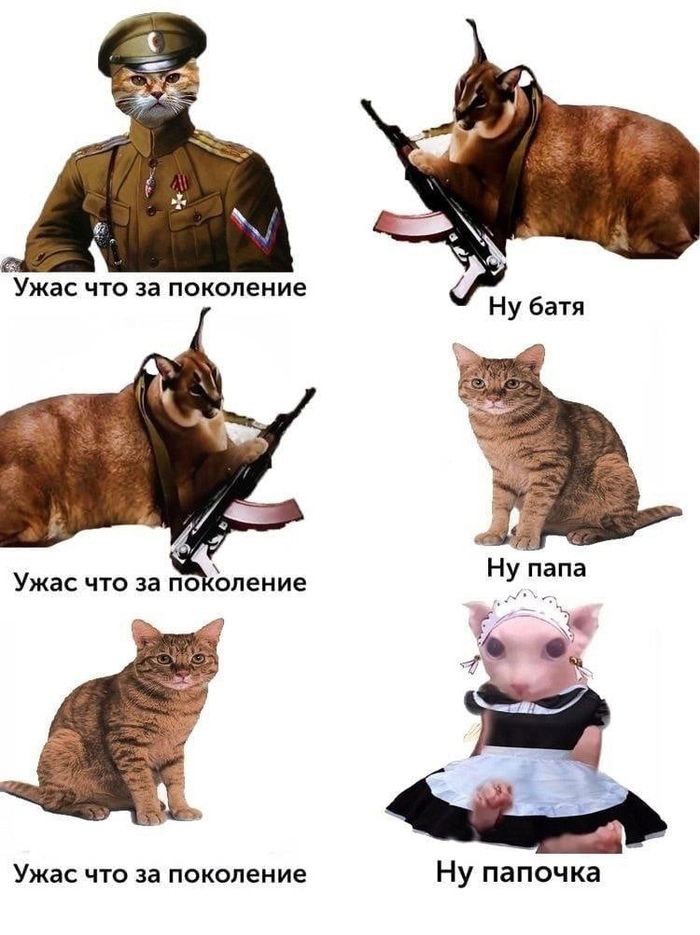    Dank Memes, ,  , 