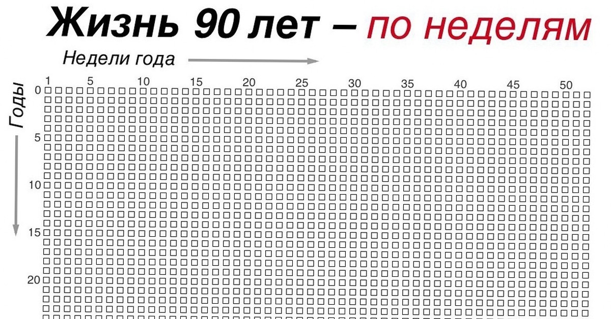 Возраст в неделях. Одна клеточка - одна неделя.