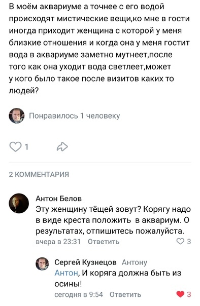Мистика?!