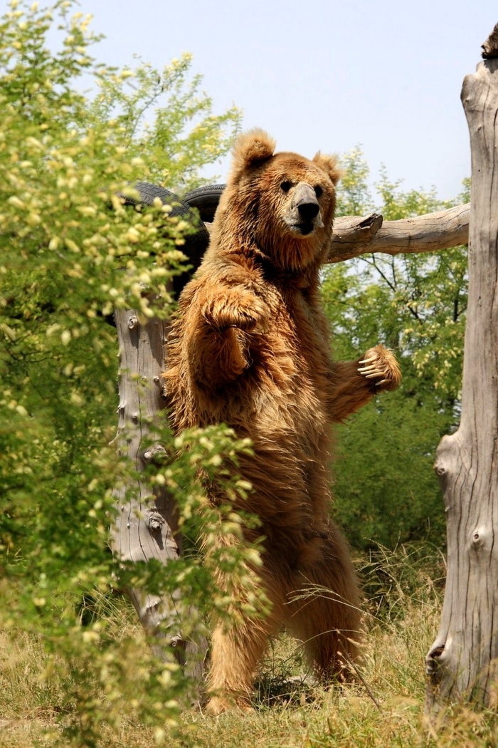 ����� �� ����. � ������ ���� ��� ���