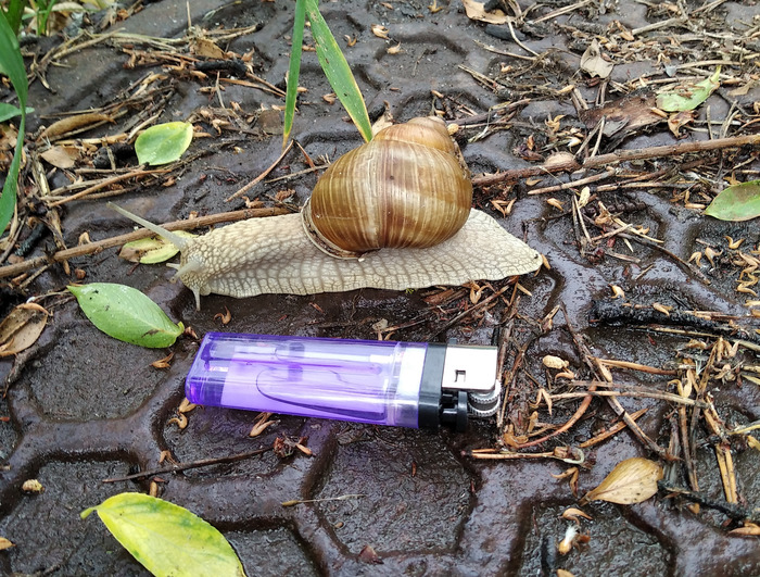 ��� ��� �� ������ � ����� ������� ������ ������? (������)