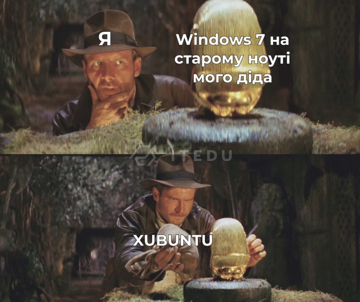 ���� ����