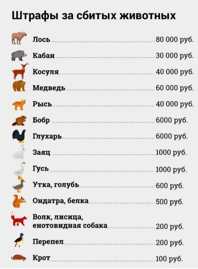 ������ �� ����� ������:(