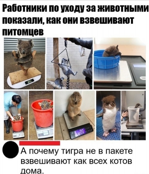 Очень мило!