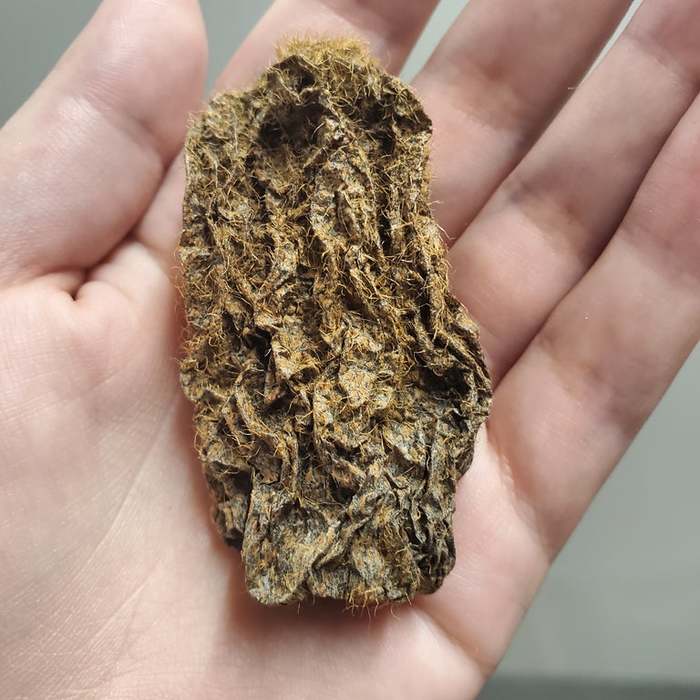 "Я зашел в офис впервые с марта 2020 года и обнаружил киви, который оставил у себя на столе"