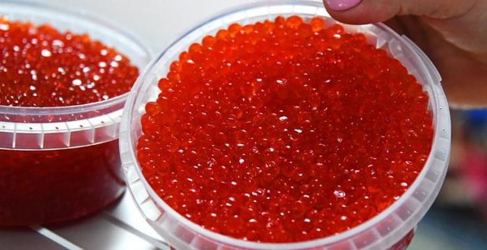 Детский лагерь в Харьковской области купил красной икры на 100 000 гривен