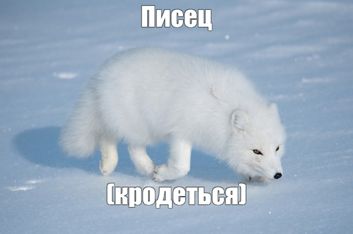 есть что вспомнить ленкина история. Смотреть фото есть что вспомнить ленкина история. Смотреть картинку есть что вспомнить ленкина история. Картинка про есть что вспомнить ленкина история. Фото есть что вспомнить ленкина история