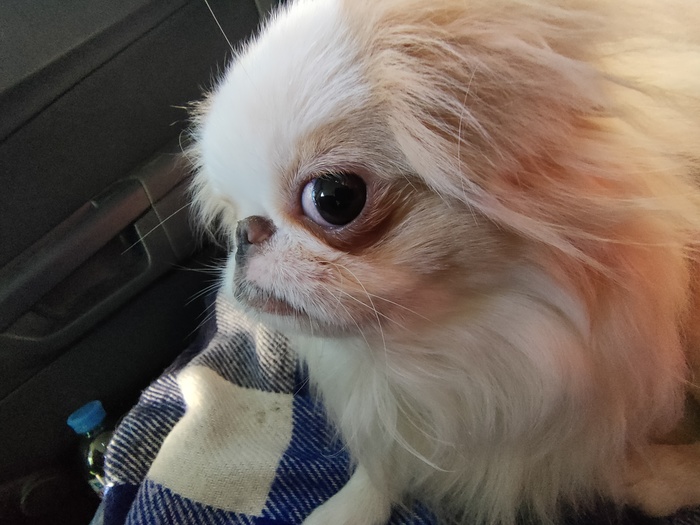 Ты меня снимаешь?