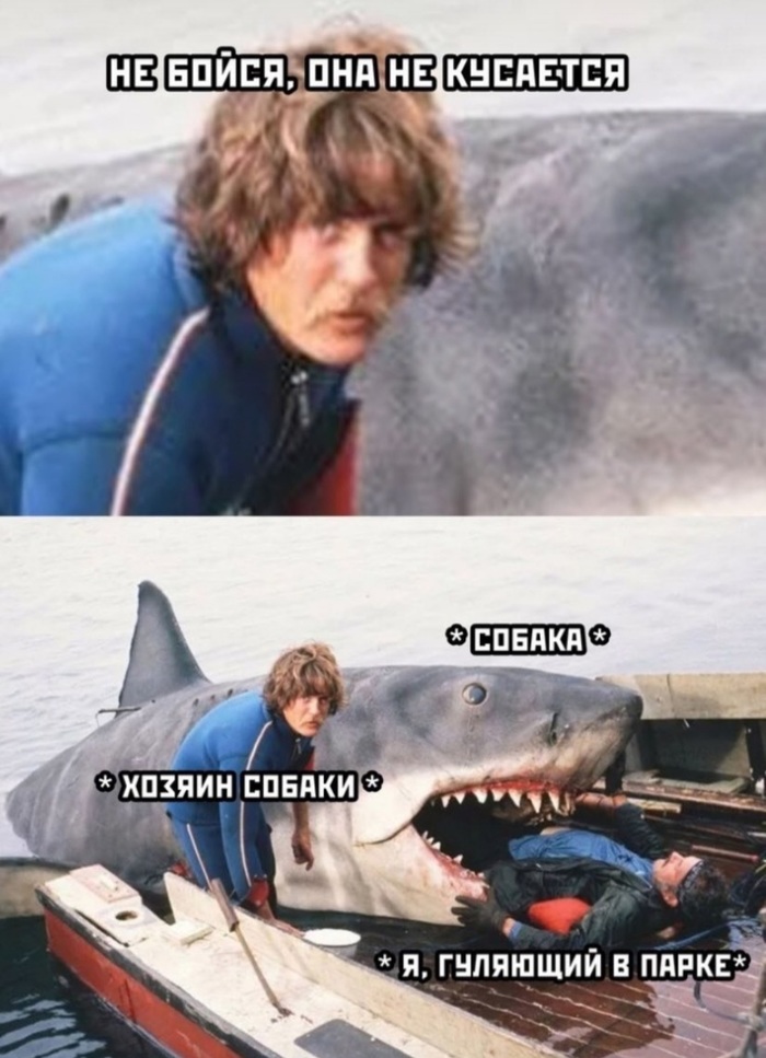 Собачники