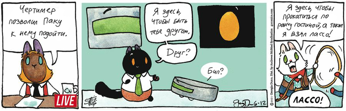    12.06.2021   (), , , 
