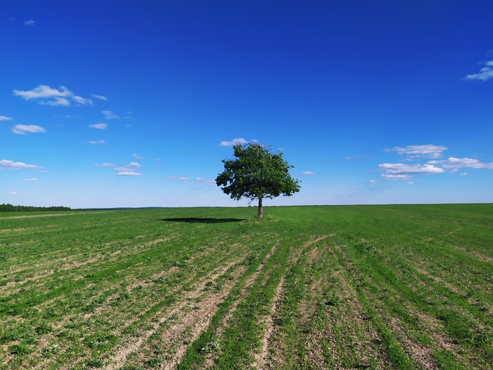 Где-то в Удмуртии