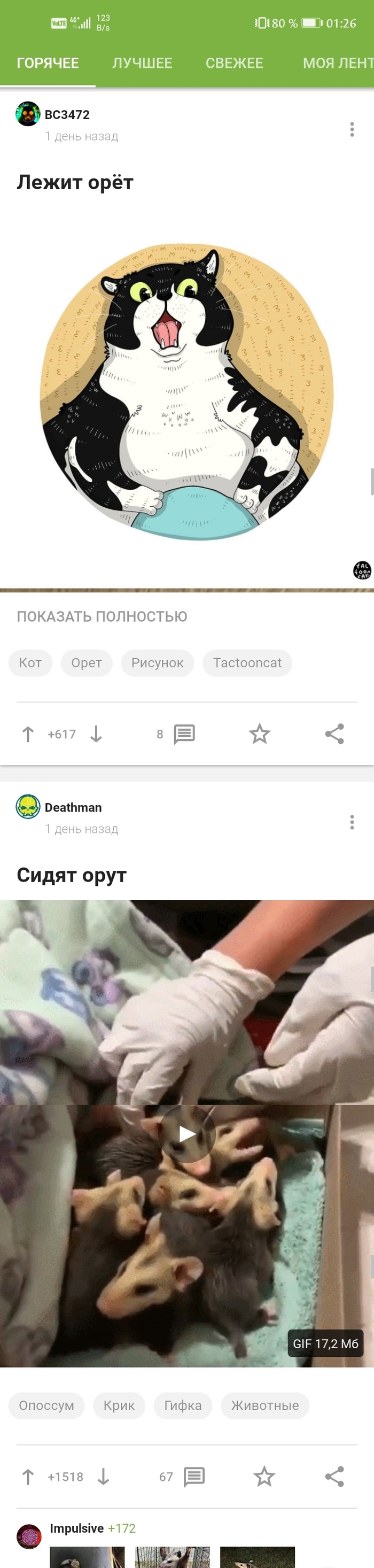 ,  , , 