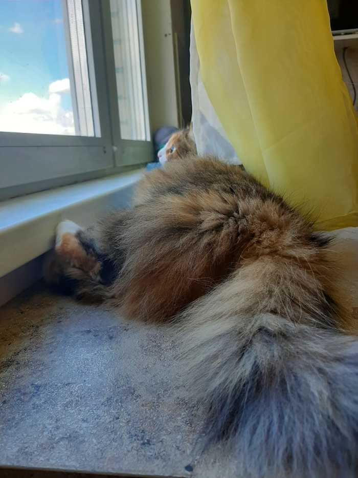 ��������� ������