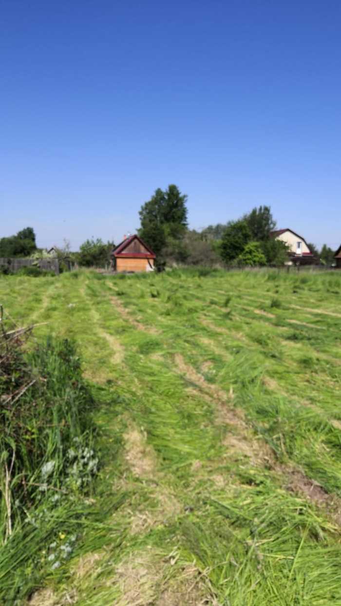Пикабу советопросящий Деревня, Нужен совет, Земельный участок, Что делать, Длиннопост