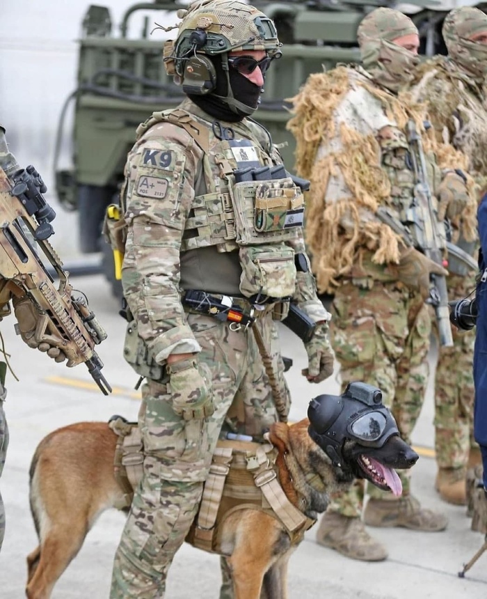 ������� �������� � ��� ����������� �������