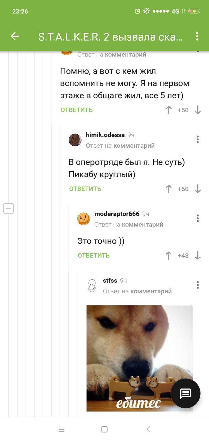 �����������