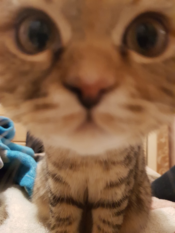 Че сказал? сюда иди!