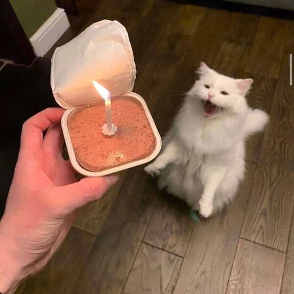  ! , ,  , , 