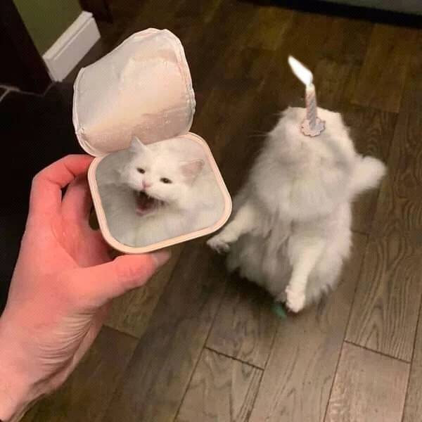     ! , ,  , , , ,   