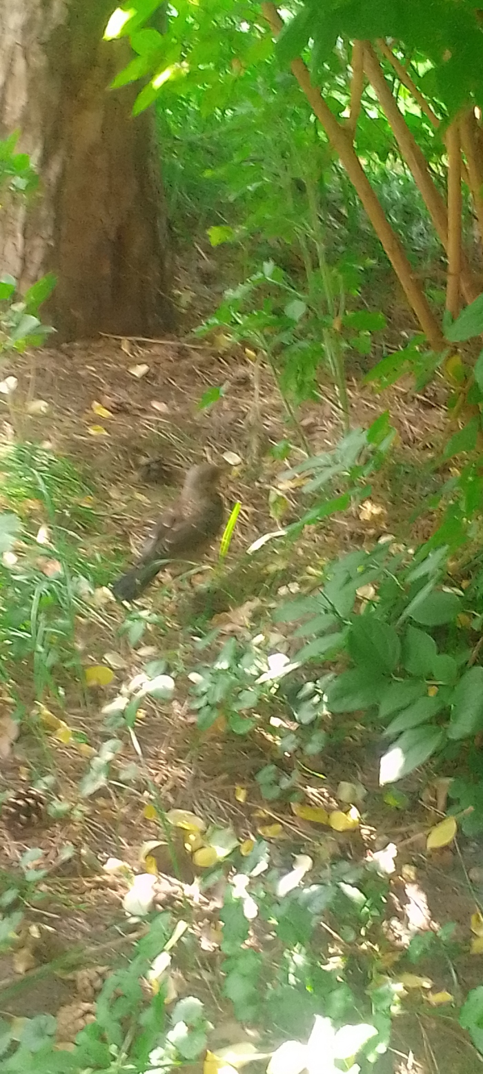 ��� ���? ��������� 10 ������� �� 10