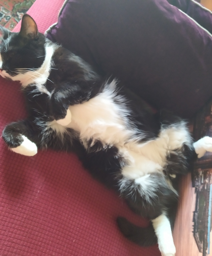 ����� �������� ��������