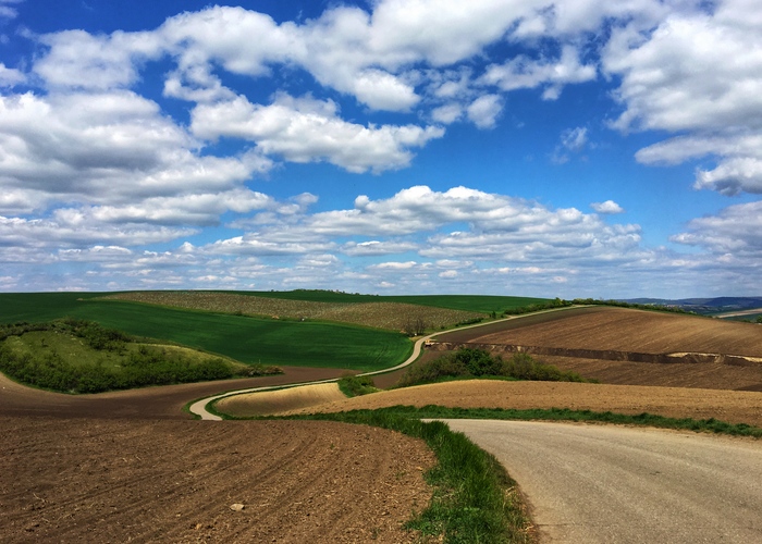 Просто дорога в полях